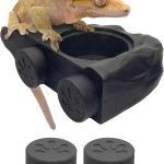 gecko food diet