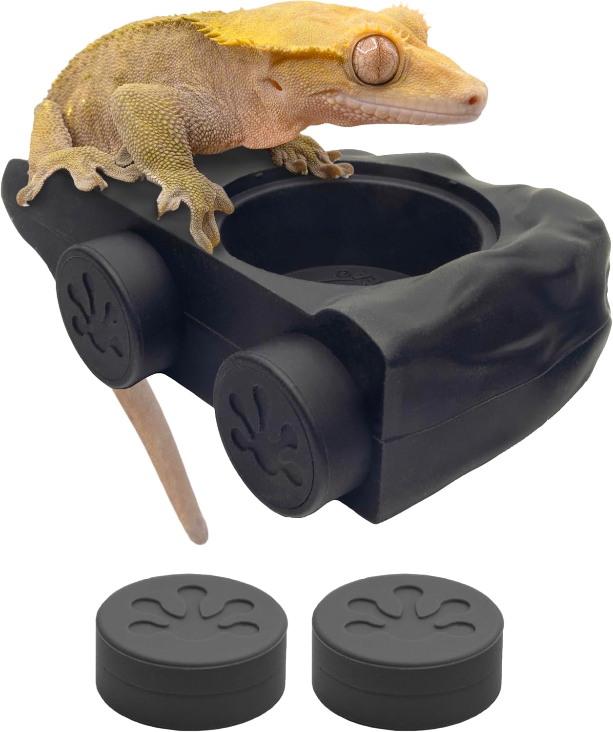 gecko food diet