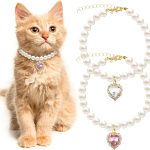 cat accessories fashion