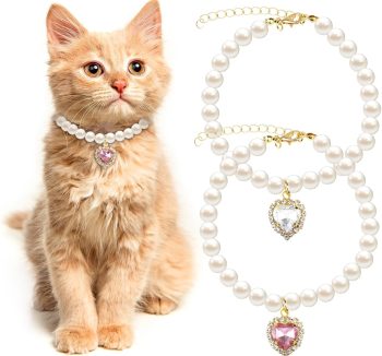 cat accessories fashion