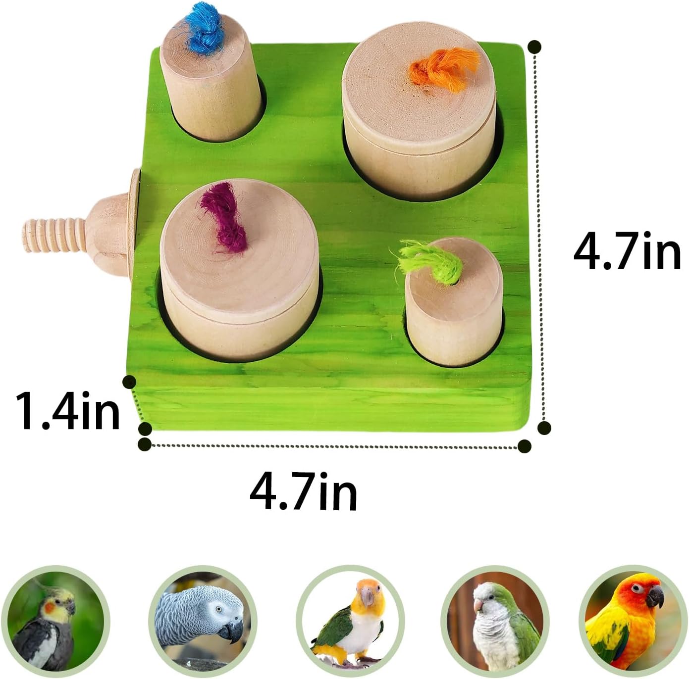 Birdie Puzzle Feeder - Interactive Foraging Toy for Parrots, Parakeets, Cockatiels, Conures | Mental Enrichment & Stimulation Game to Prevent Boredom (Green) - Happypetzone.online - Image 2