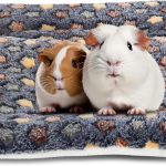 guinea pig bedding absorbent