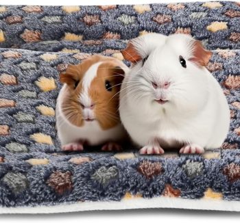 guinea pig bedding absorbent