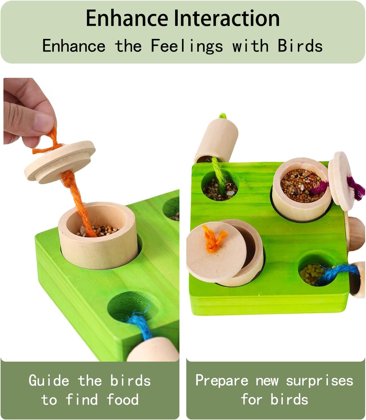 Birdie Puzzle Feeder - Interactive Foraging Toy for Parrots, Parakeets, Cockatiels, Conures | Mental Enrichment & Stimulation Game to Prevent Boredom (Green) - Happypetzone.online - Image 5