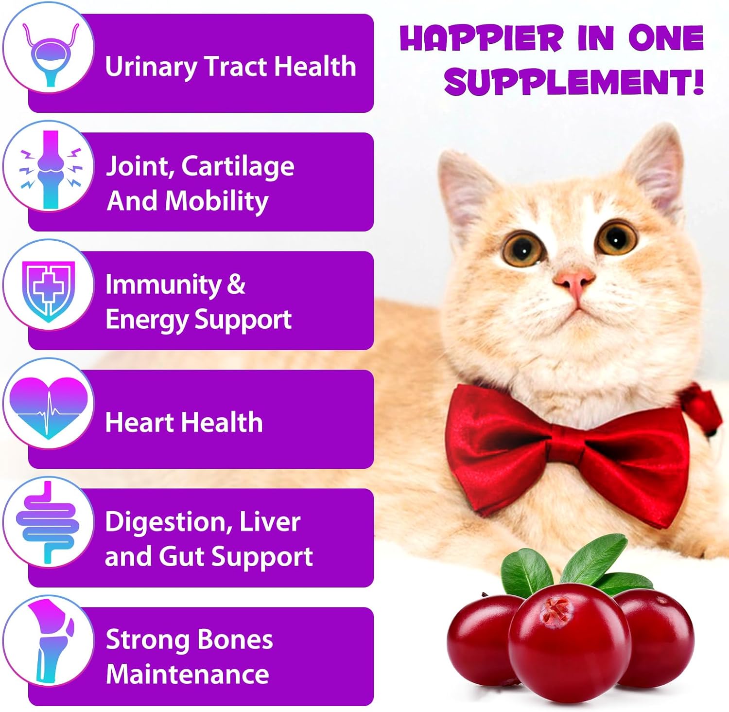 2PCS Liquid Multivitamin for Cat, 15 in 1 Cats Multivitamin Liquid Drops Supplements for Skin & Coat, Heart Health, Bones and Joint, Cat Vitamins with Glucosamine and MSM, Immune System Support - Happypetzone.online - Image 2