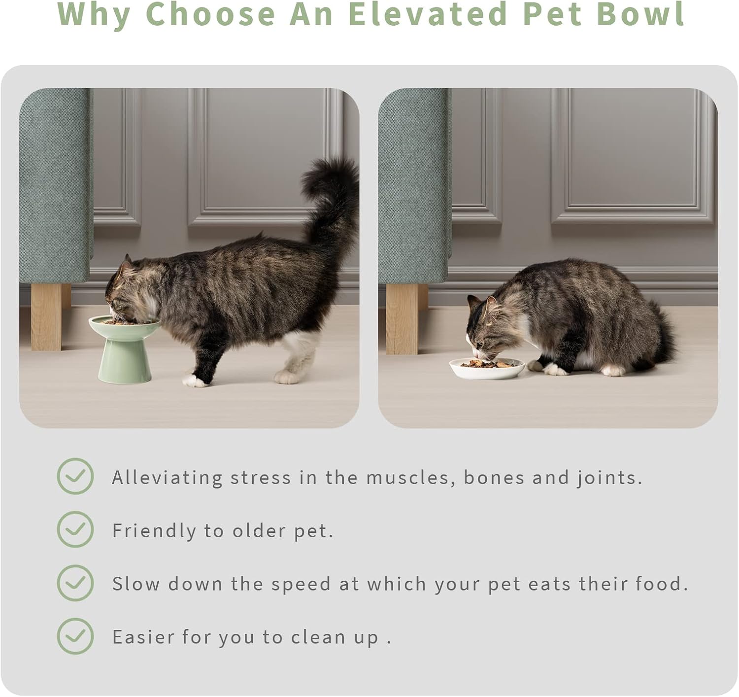 CEEFU 2 Elevated Ceramic Cat Bowls Extra Wide for Food & Water – Whisker Fatigue Shallow Food Dish, Lead & Cadmium-Free, Raised Height for Cats, Sage Green - Happypetzone.online - Image 6