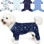 dog clothes cute