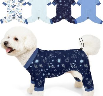 dog clothes cute