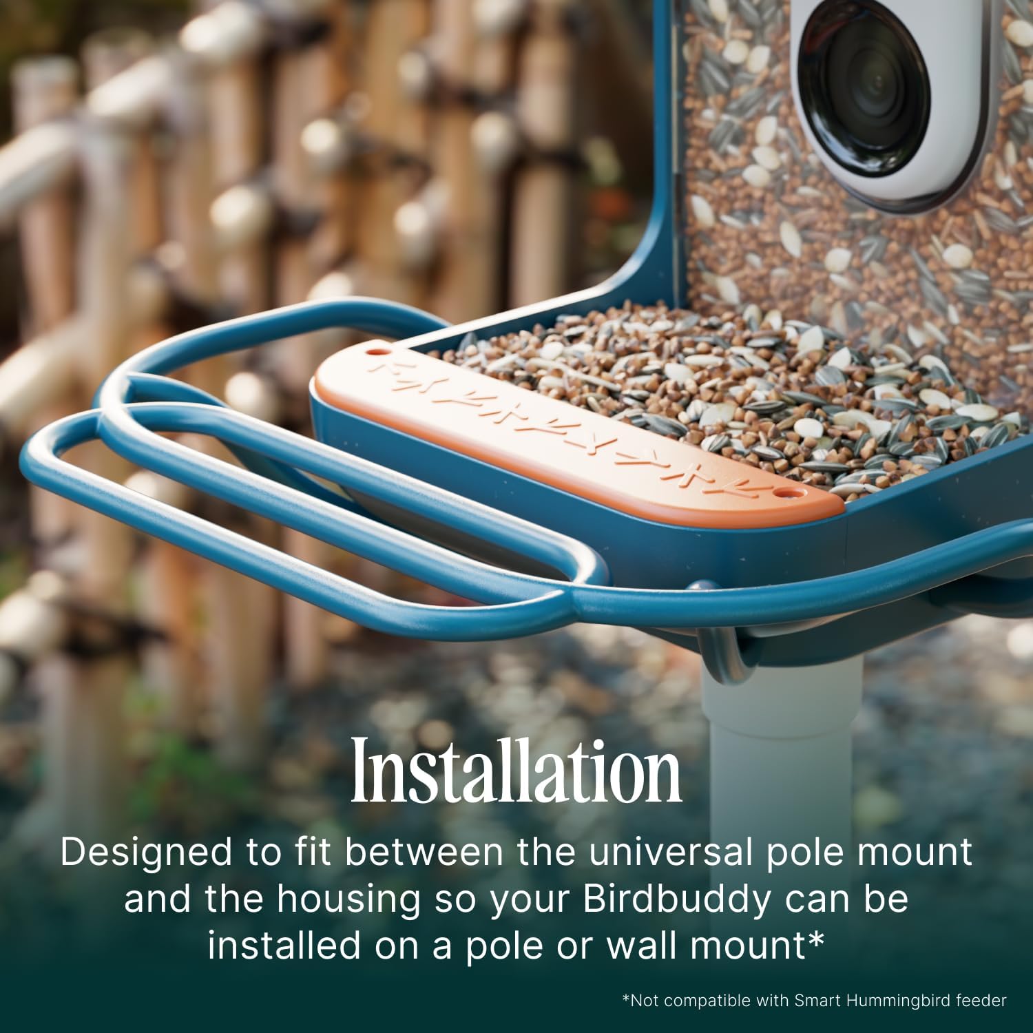 Birdbuddy Blue Perch Extender – Add-On Accessory for Better Watching Experience - Outdoor Bird Perch - Weatherproof and Durable - Happypetzone.online - Image 3