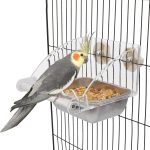 bird food no mess