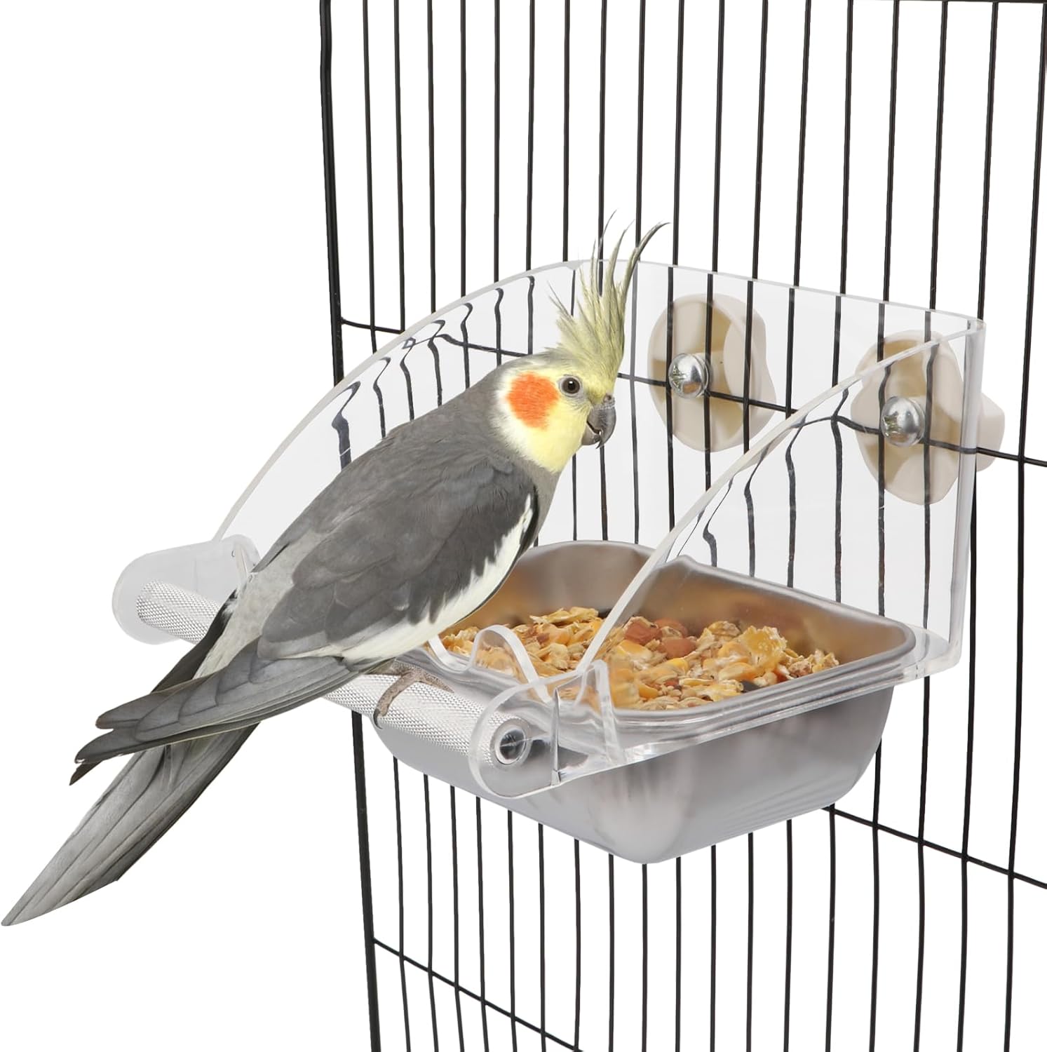 bird food no mess