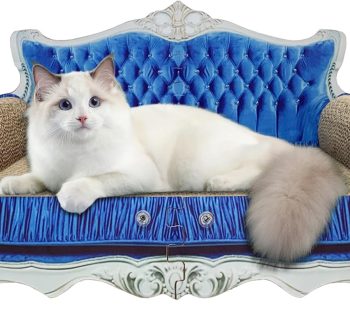 cat bed luxury