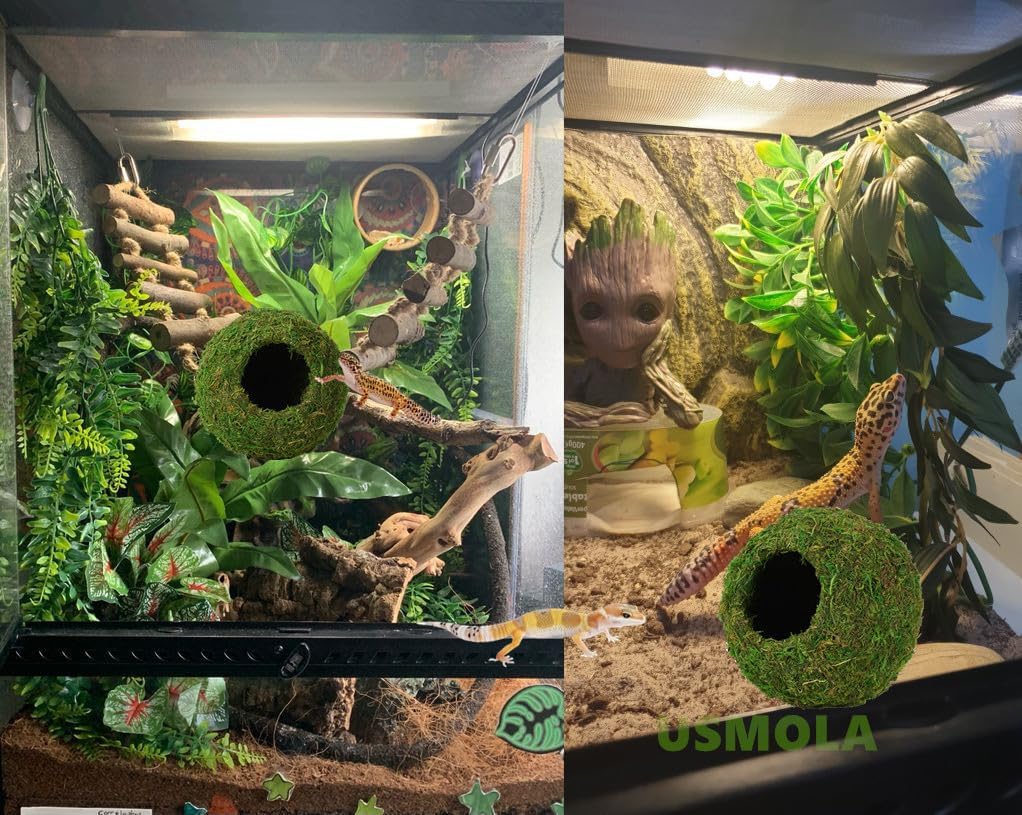 USMOLA Mossy Caves, Artificial Green Moss Caves Hide for Pet Reptile Frogs and Snakes, Terrarium & Vivarium Decor, Crested Gecko Tank Decor (4" - Woodland Green) - Happypetzone.online - Image 4