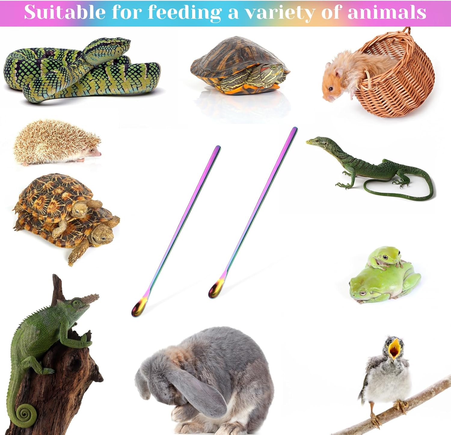 Abeillo 2Pcs Crested Gecko Food Spoons, 8.9" Long Handle Stainless Steel Reptile Spoon, Fruit Mixing Stirring Food Feeding Spoon for Gargoyle Bearded Dragon - Happypetzone.online - Image 4