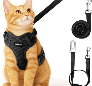 cat harness for small cats