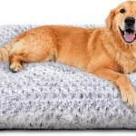 cheap dog beds large