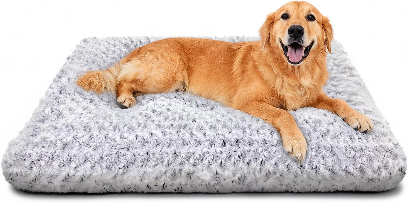 cheap dog beds large