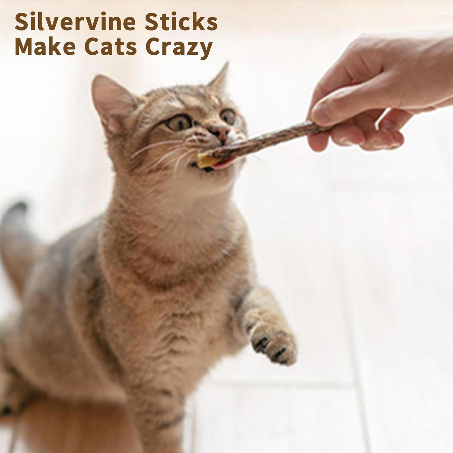 [ 15pcs Silvervine Sticks for Cats, Matatabi Cat Chew Sticks, Catnip Toys, Wooden Dental Sticks for Indoor Cats, Kitty, Kitten Teething Interactive Wand Toys - Happypetzone.online - Image 6