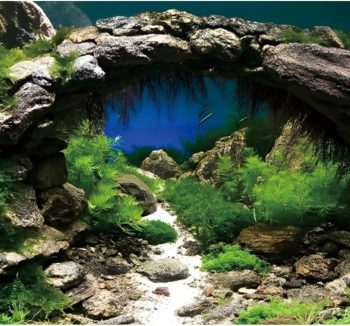 fish tank cheap amazon