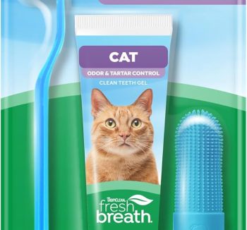 cat dental care kit