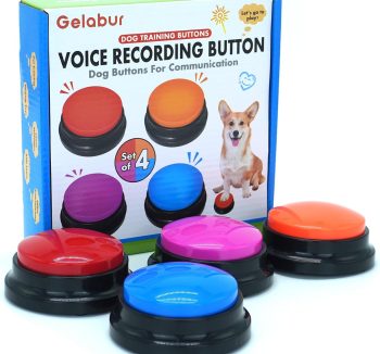 dog training tools