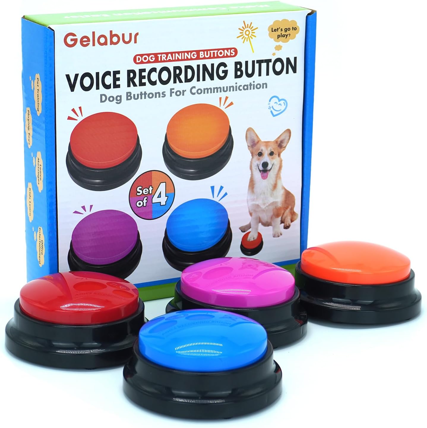 dog training tools