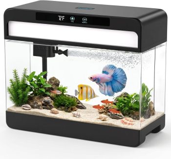 fish tank setup kit
