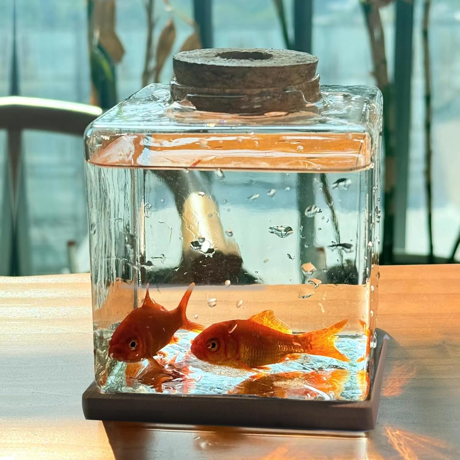 Desktop Betta Fish Tank with Wood Lid and Bamboo Stand Small Fish Bowl Glass for Beta Fish Hydroponic Plant Terrarium Aquarium Starter Kit 0.5 Gallon - Happypetzone.online - Image 4