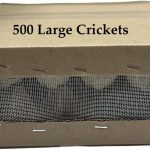 crickets for reptiles