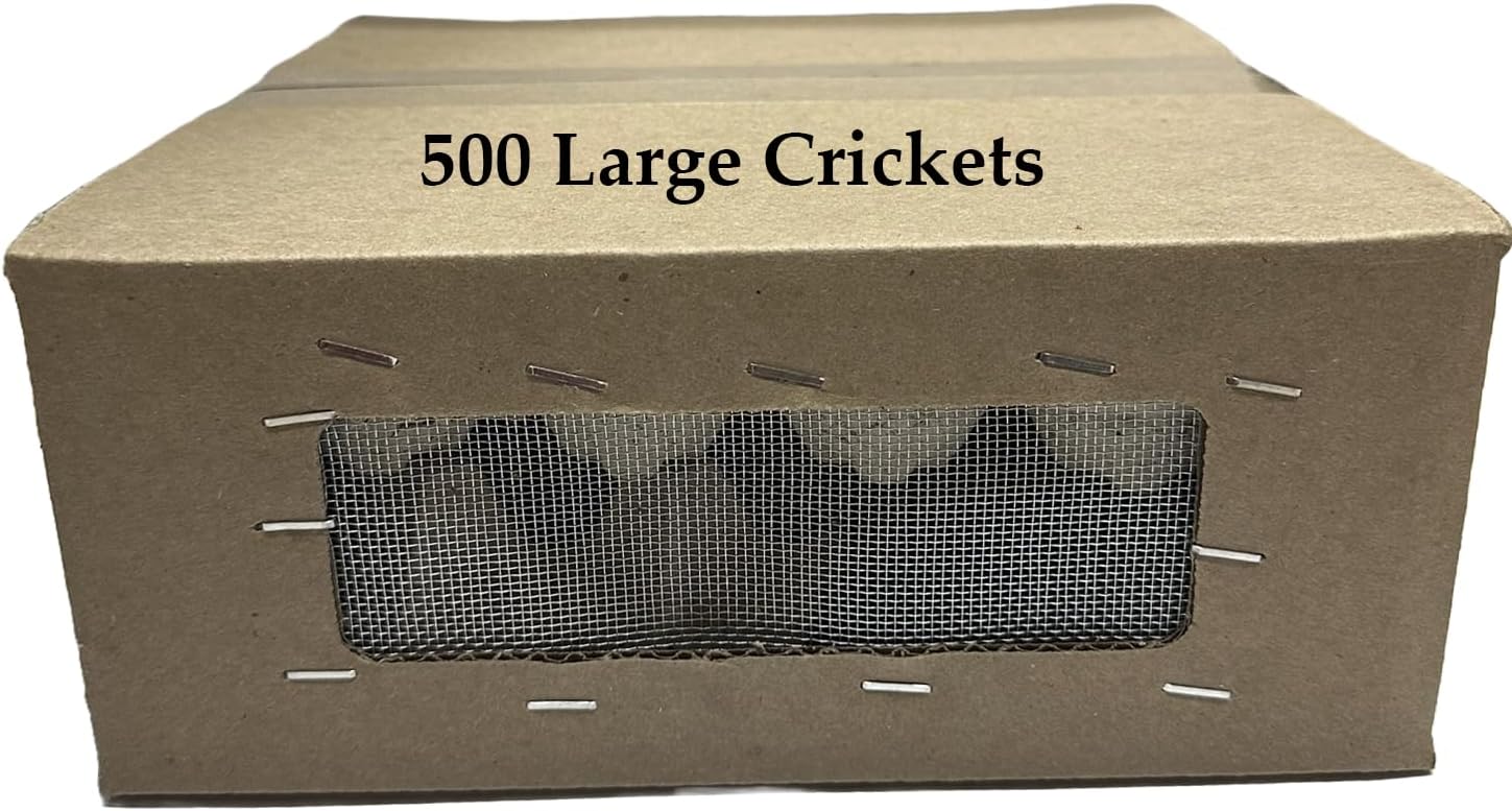 crickets for reptiles