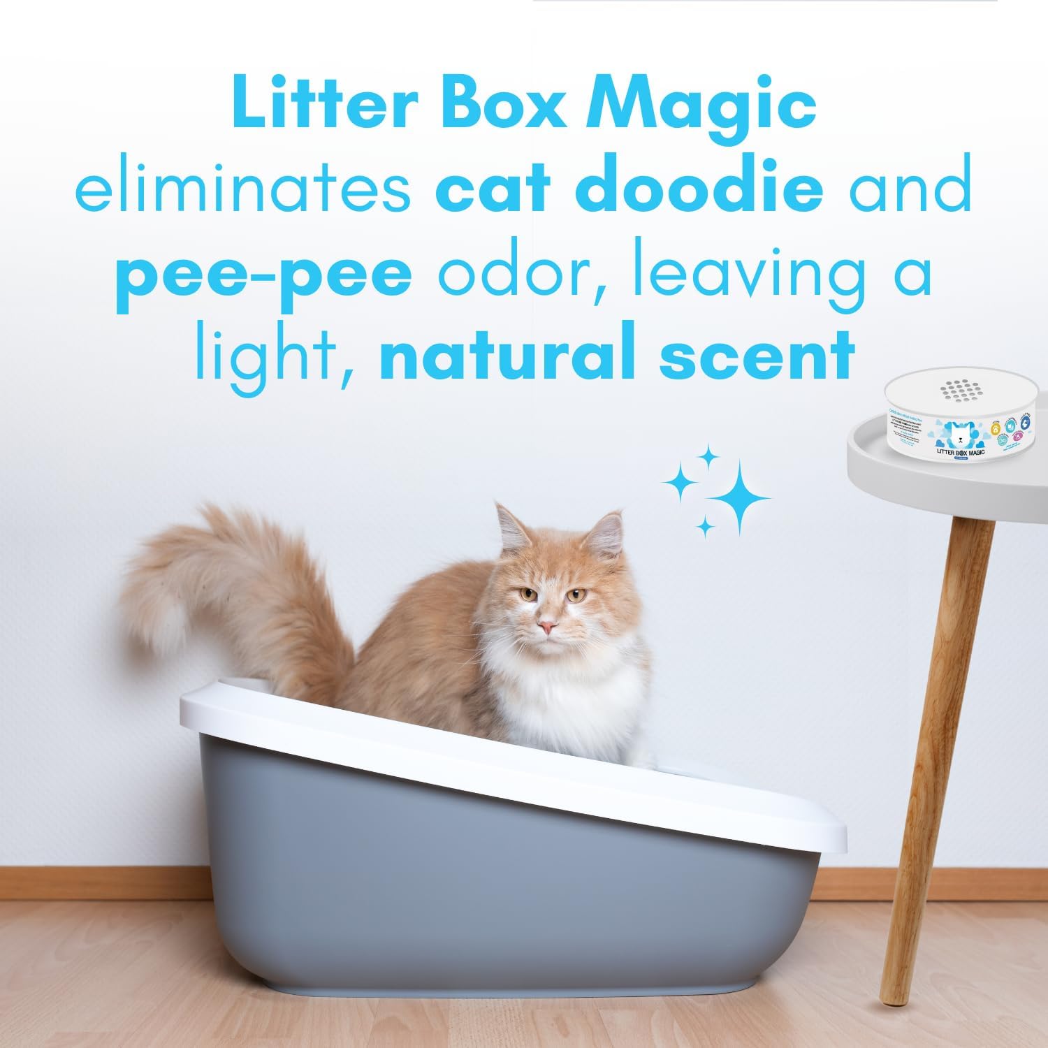 Litter Box Magic Cat Litter Deodorizer Jar (Fresh Scent, 16 Oz, Pack of 1) - Cat Litter Odor Absorber Gel In A Jar - Litter Box Pet Air Freshener - Litter Odor Eliminator to Freshen Air - Happypetzone.online - Image 2