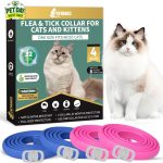 cat tick prevention