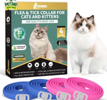 cat tick prevention