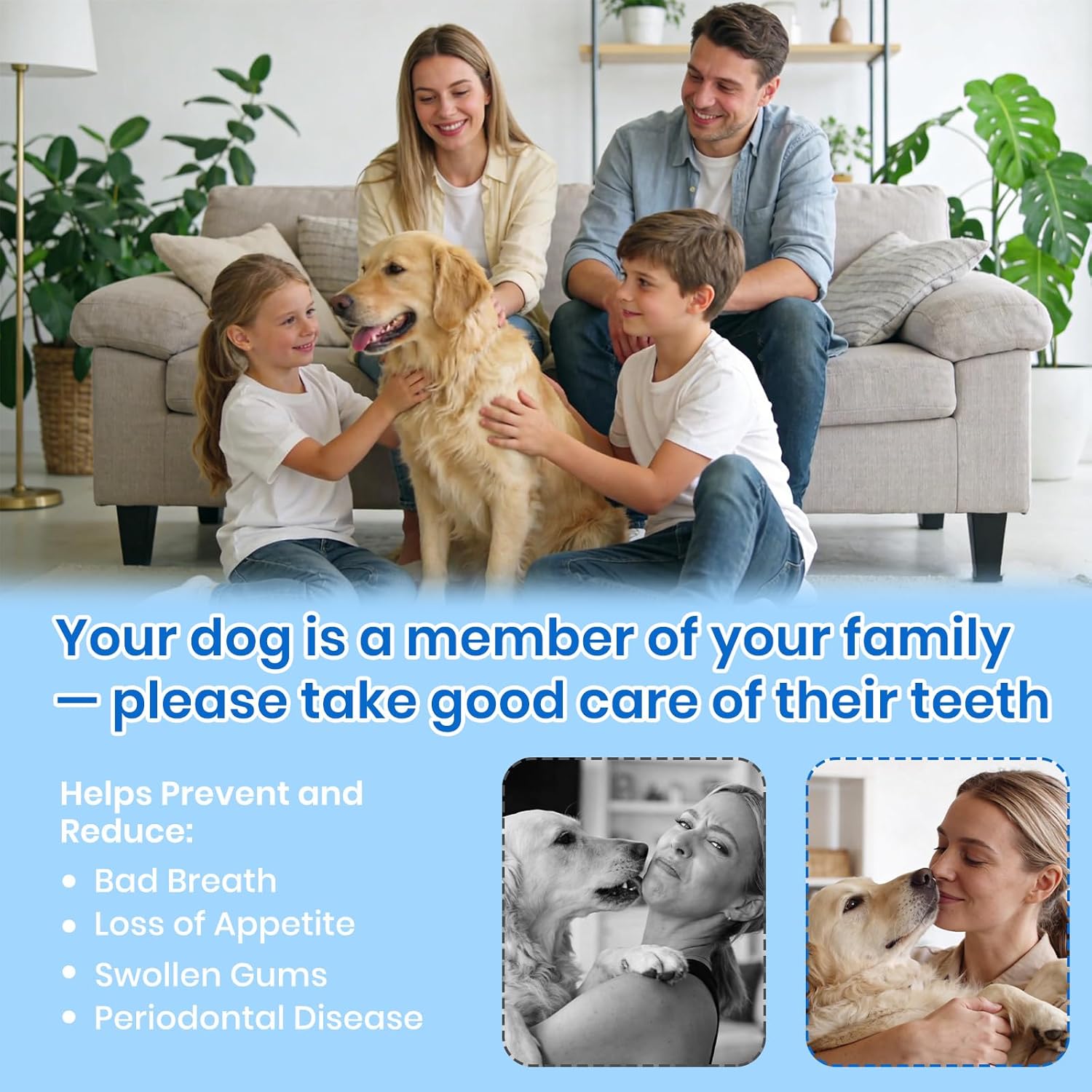 Dog Plaque Remover for Teeth,Pet Tooth Cleaner with LED Light,Cleaning Kit for Tartar and Stains,5 Adjustable Modes,Pet Teeth Cleaning kit,Suitable for Dogs and Cats (White) - Happypetzone.online - Image 9
