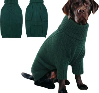 large dog clothes winter