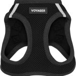 dog harness for small dogs