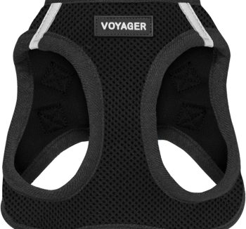 dog harness for small dogs