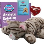 cat toys rechargeable