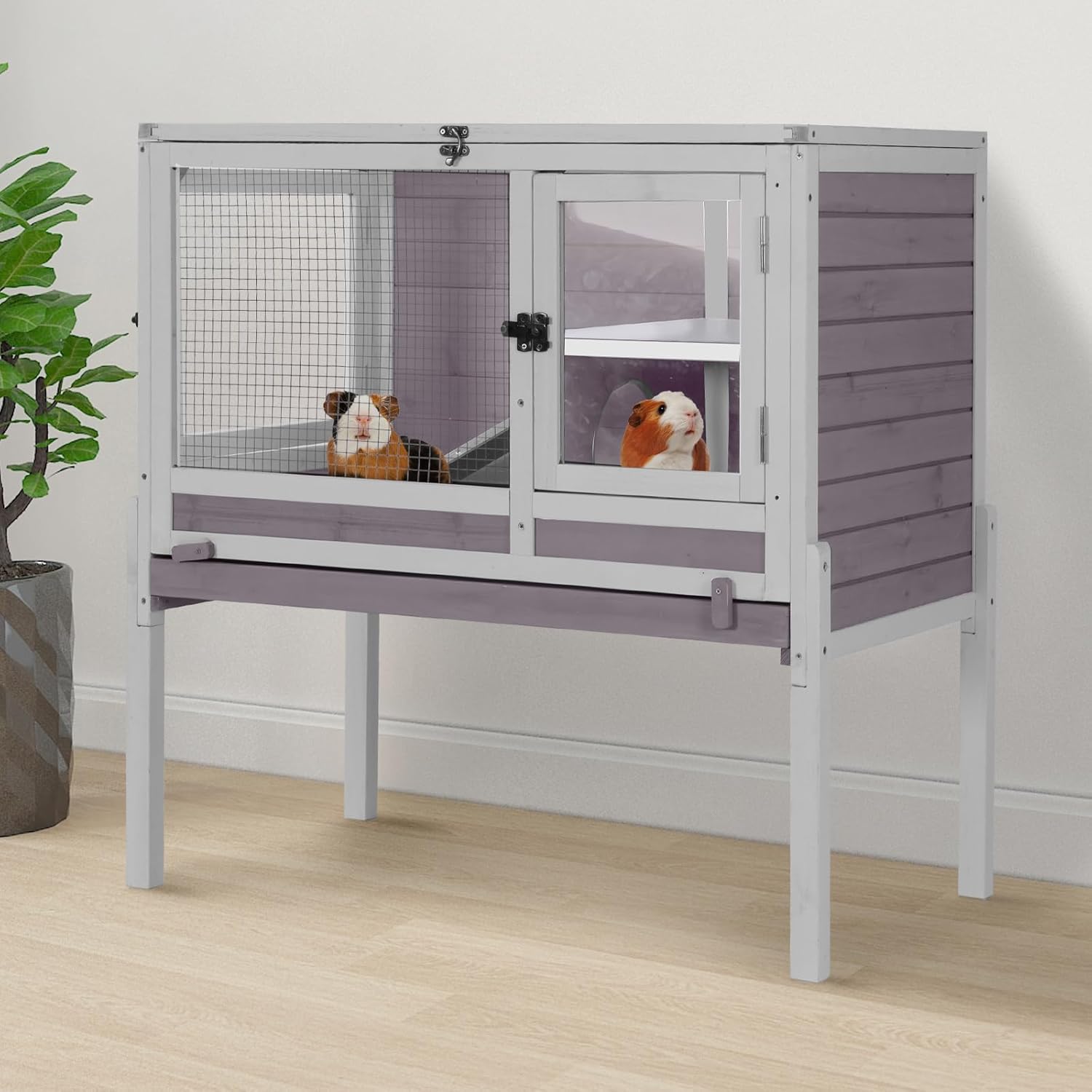 guinea pig cage with stand