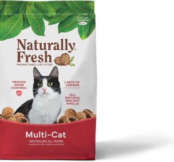 eco friendly cat litter