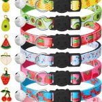 cat collar safety breakaway