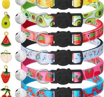 cat collar safety breakaway