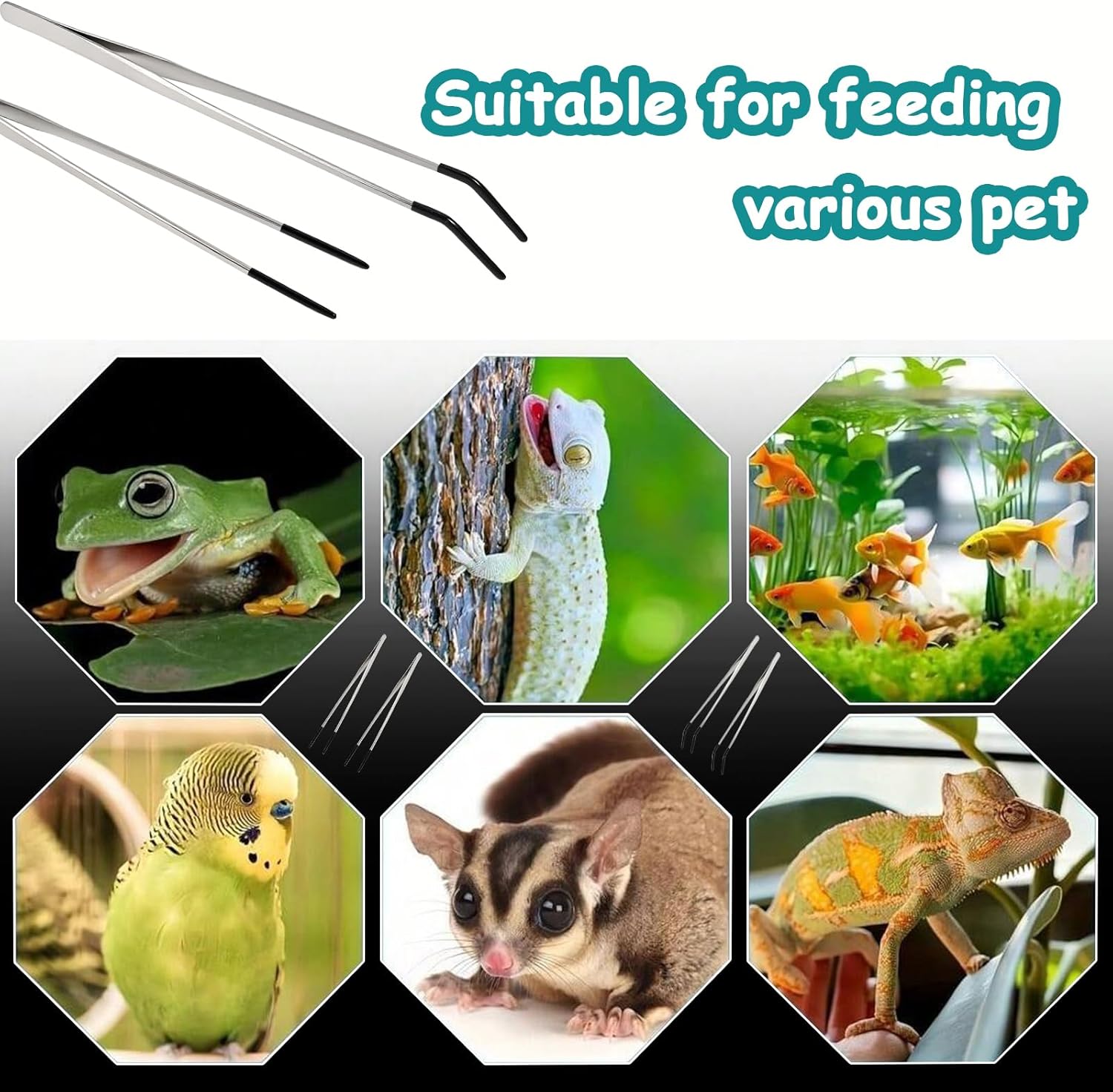 2 Pack Extra Long Stainless Steel Reptile Feeding Tongs with Rubber Tip - 10.6" Straight And Curved Long Tweezers for Aquariums, Feeder for Beard Dragons, Lizard and Snakes (Silver) - Happypetzone.online - Image 7