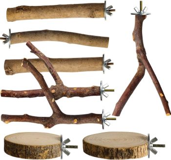 bird perch accessories
