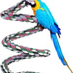 bird swing durable