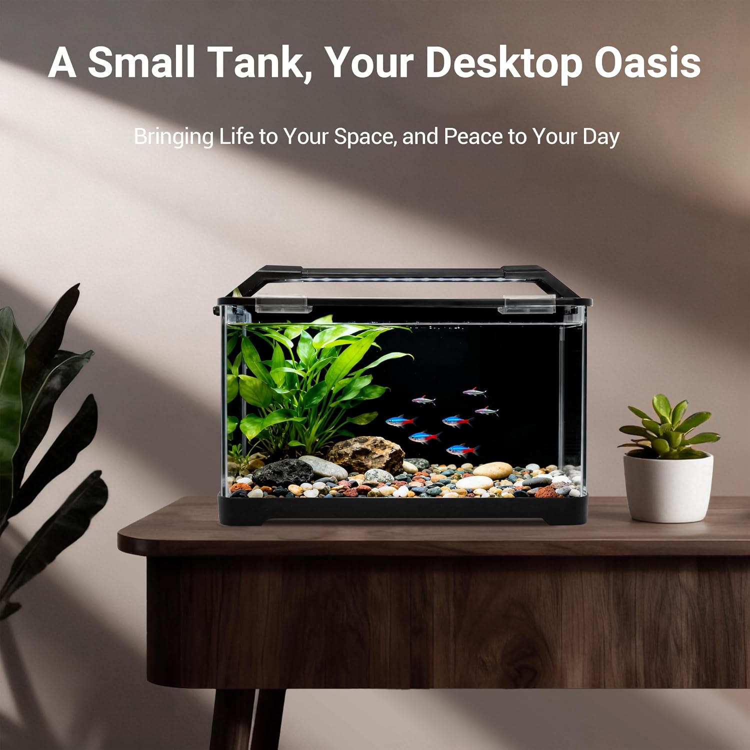 3.5 Gallon Betta Fish Tank, All in One Aquarium Starter Kits with Back Filter, Adjustable Pump, 25W Heater, LED Thermometer, LED Light with Timer & Water Changer Kit, for Mom Wife - Happypetzone.online - Image 2