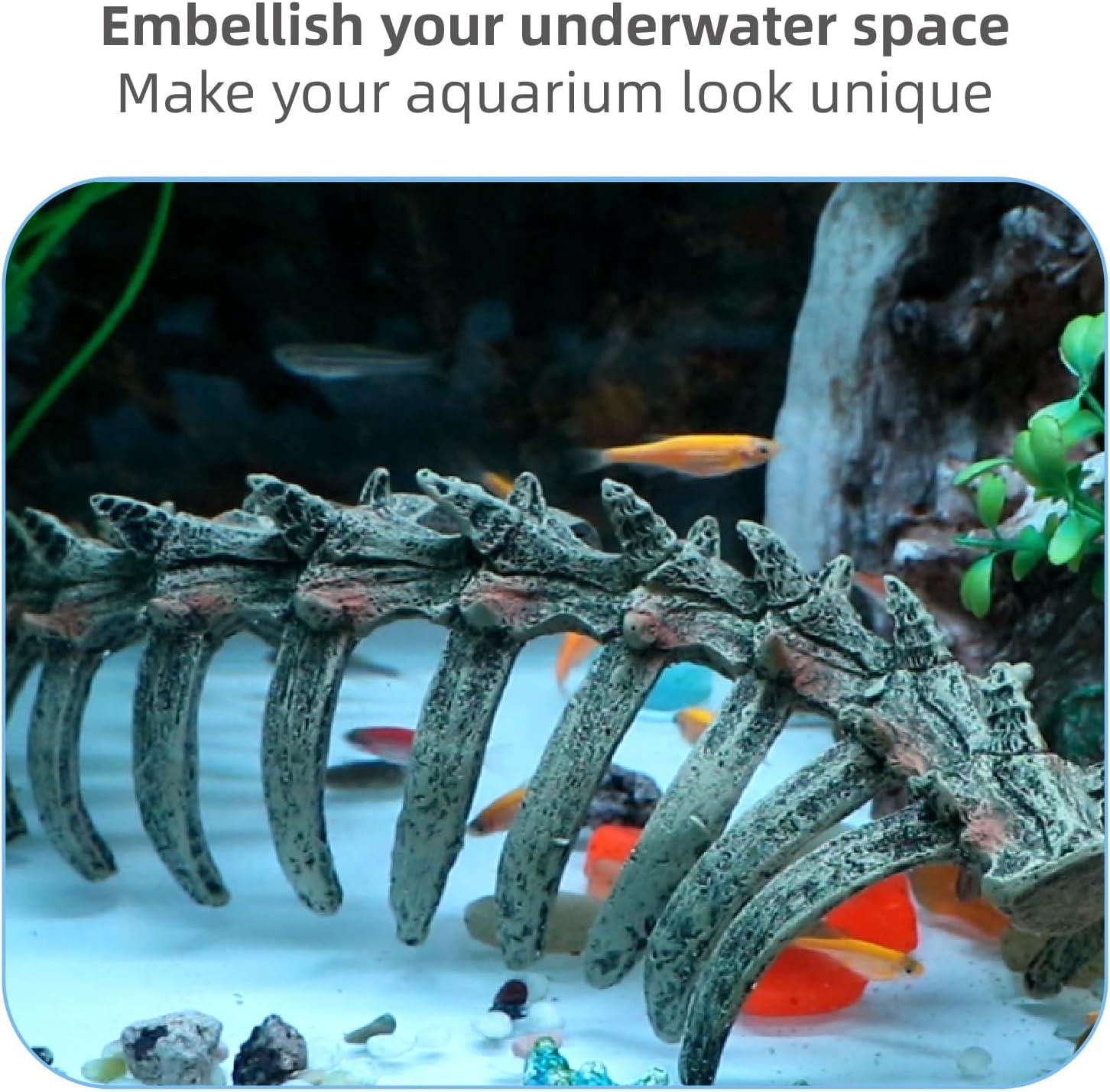 relaqcc Aquarium Skull Animal Skeletons, Reptile Tank Accessories, Fish Tank Decorations for Amphibians, Betta Fish, Shrimp, Hermit Crab, Leopard Gecko - Happypetzone.online - Image 4