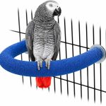 bird perch amazon best