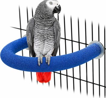 bird perch amazon best