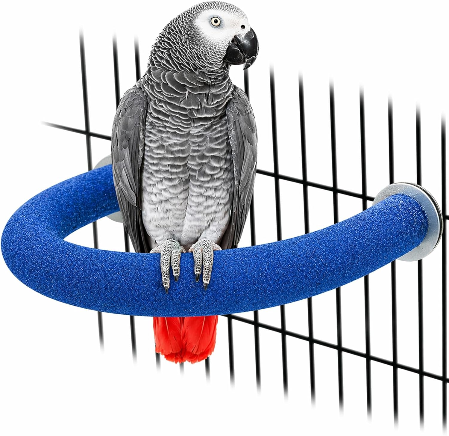 bird perch amazon best